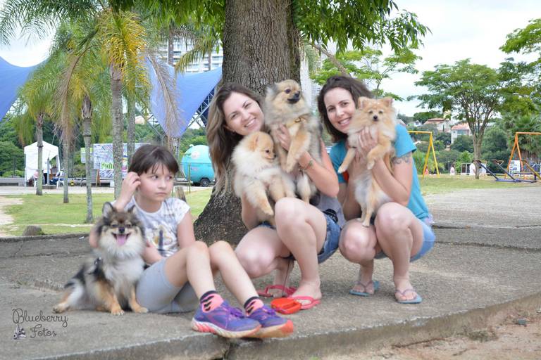 criança e mulheres com cachorros no parque
