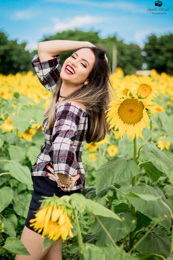 campo de girassóis fotos nos girassóis, flores, ensaio fotográfico,canon, fotografia, photoshop, 