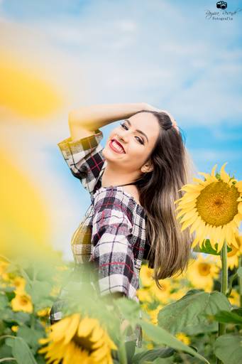 campo de girassóis fotos nos girassóis, flores, ensaio fotográfico,canon, fotografia, photoshop, 