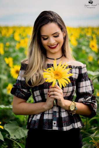 campo de girassóis fotos nos girassóis, flores, ensaio fotográfico,canon, fotografia, photoshop, 