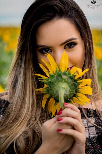 campo de girassóis fotos nos girassóis, flores, ensaio fotográfico,canon, fotografia, photoshop, 