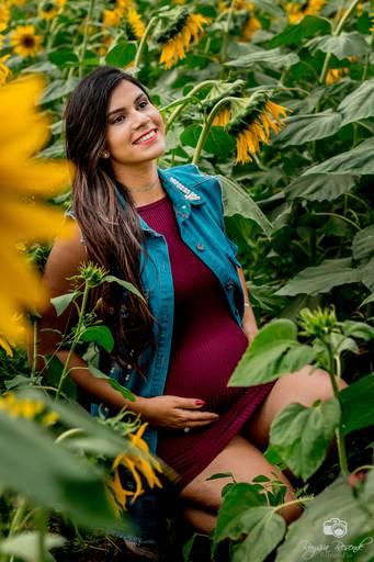 campo de girassóis fotos nos girassóis, flores, ensaio fotográfico,canon, fotografia, photoshop, 