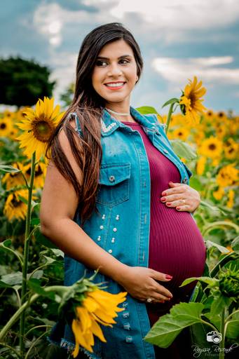 campo de girassóis fotos nos girassóis, flores, ensaio fotográfico,canon, fotografia, photoshop, 