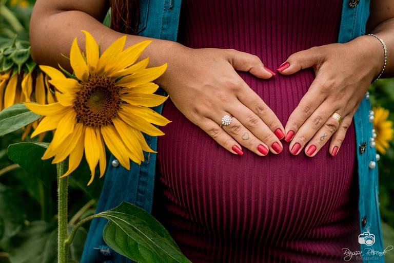 campo de girassóis fotos nos girassóis, flores, ensaio fotográfico,canon, fotografia, photoshop, 