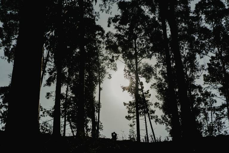 Love the dress (Trash the dress) em Santa Maria da Feira, sessão pós casamento