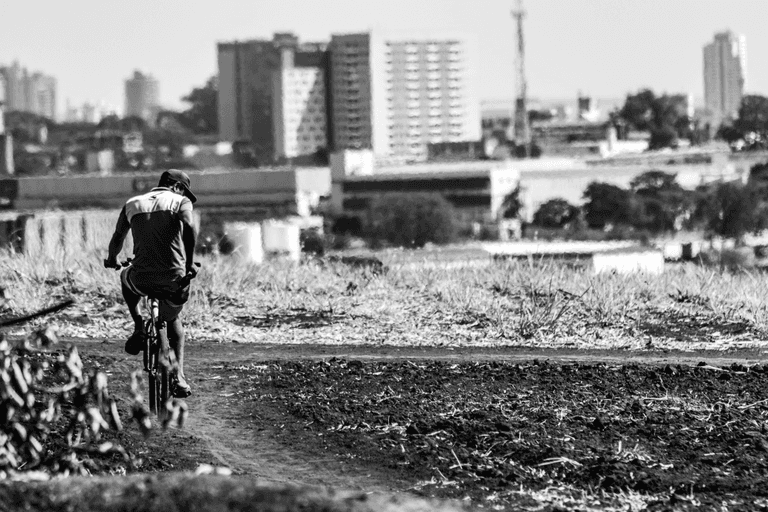 Ribeirão Preto - SP