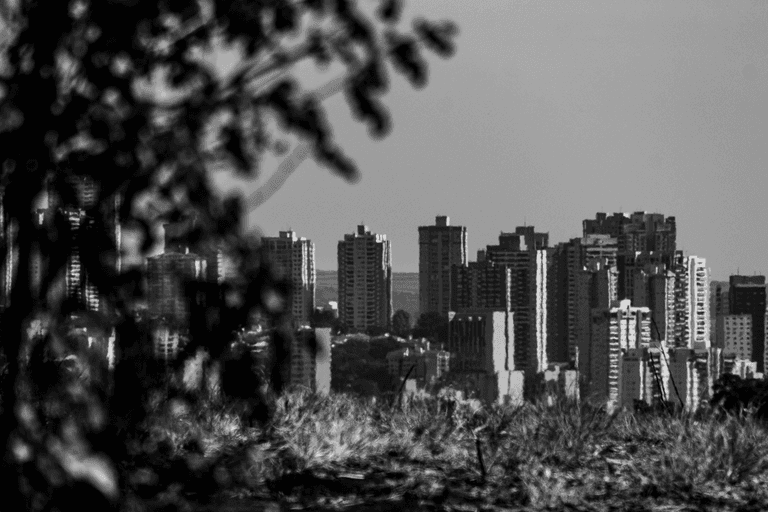 Ribeirão Preto - SP