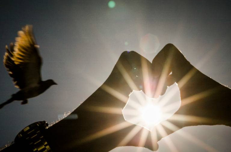 Pré-Wedding, pré-Casamento dos Noivos Camila e Roberto na cidade de ouro preto minas gerais, pombo e noivos fazendo coração com a mão