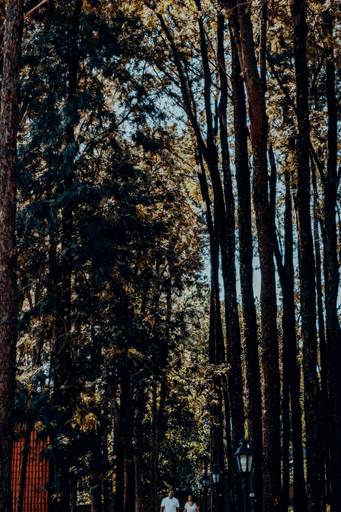 ensaio pré wedding Holambra a cidade das flores