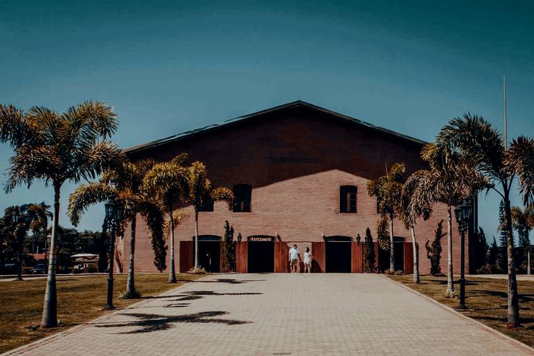 ensaio pré wedding Holambra a cidade das flores