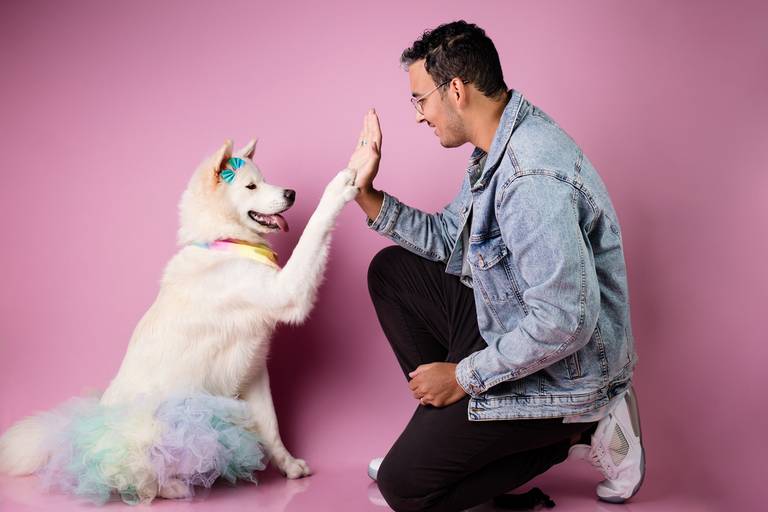 santo chico fotografia pet estudio pet fotografia de animais fotografa pet thais mazzoco fotografia cenario fotografia fotografo pet book estudio campinas ada akita