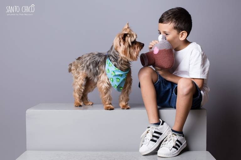 santo chico fotografo pet ensaio pet campinas estudio criança