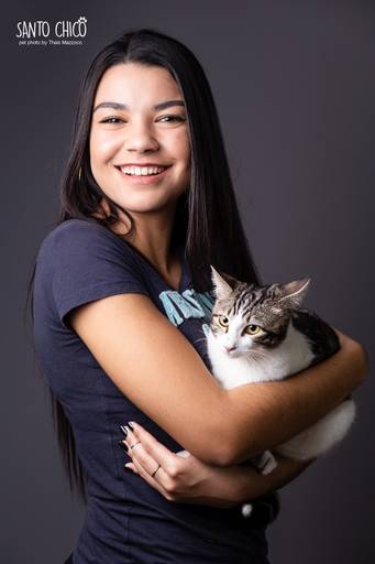 santo chico fotografo pet ensaio pet campinas estudio gato