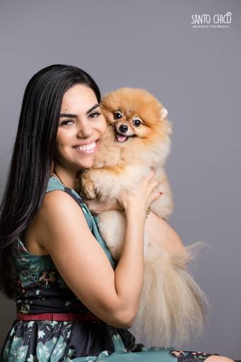 santo chico fotografo pet ensaio pet campinas estudio border collie