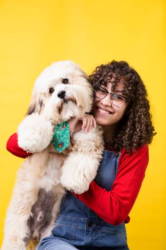 santo chico fotografo pet ensaio pet campinas estudio