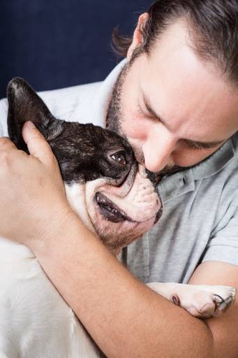 ensaio pet dia dos pais santo chico fotografia campinas fotografo 