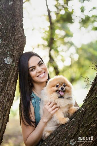 fotografia pet cachorro
ao ar livre santo chico