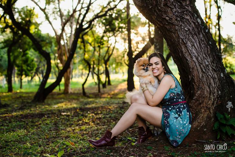 fotografia pet cachorro
ao ar livre santo chico