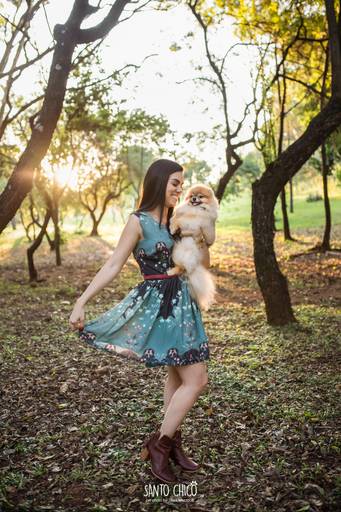 fotografia pet cachorro
ao ar livre santo chico