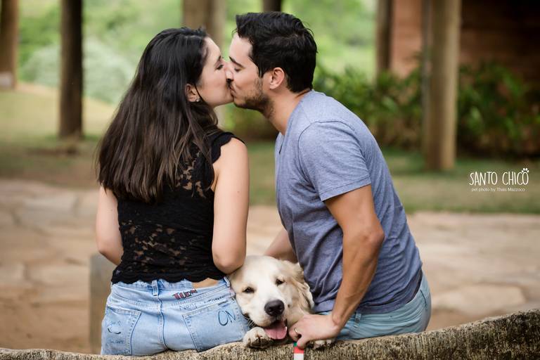golden namorado fotografia pet cachorro
ao ar livre santo chico
