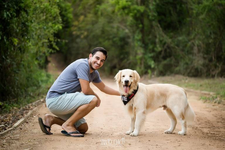 fotografia pet cachorro
ao ar livre santo chico golden retr
iver swiss park 