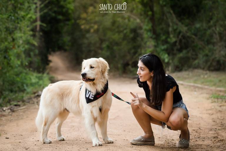 fotografia pet cachorro
ao ar livre santo chico golden retriver swiss park