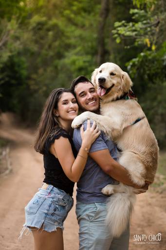fotografia pet cachorro
ao ar livre santo chico golden retriver 
