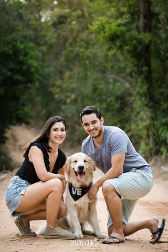 fotografia pet cachorro
ao ar livre santo chico golden retriver