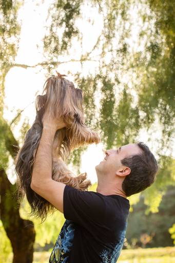 fotografia pet cachorro
ao ar livre santo chico yorkshire