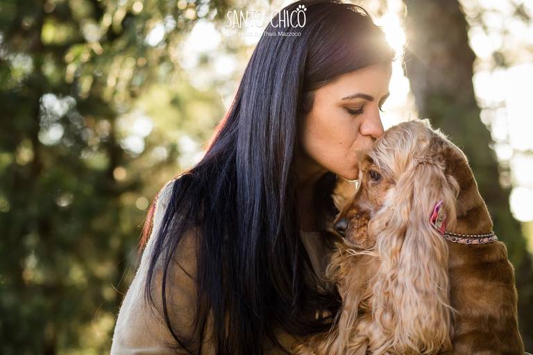 fotografia pet cachorro
ao ar livre santo chico