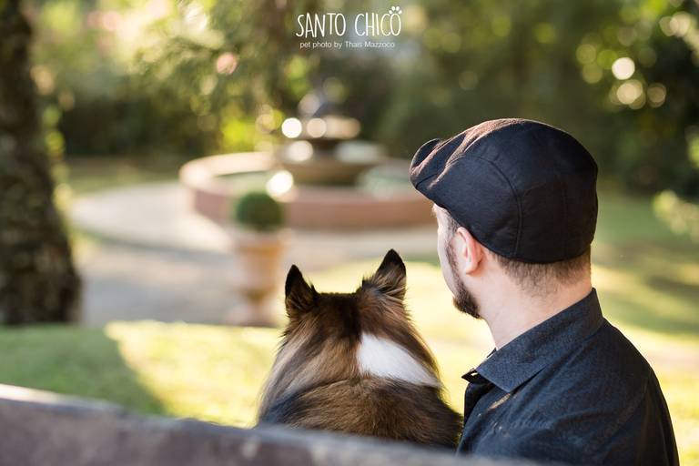 fotografia pet cachorro
ao ar livre santo chico