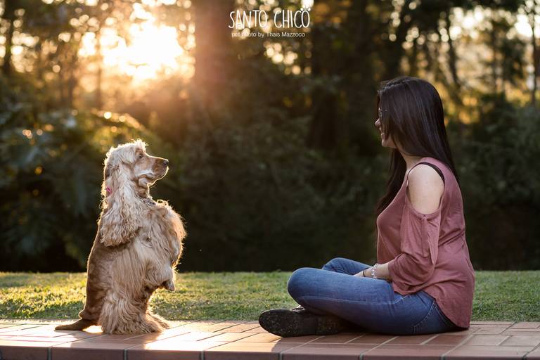 fotografia pet cachorro
ao ar livre santo chico
