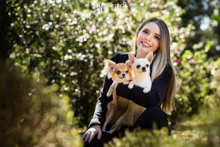 fotografia pet cachorro
ao ar livre santo chico