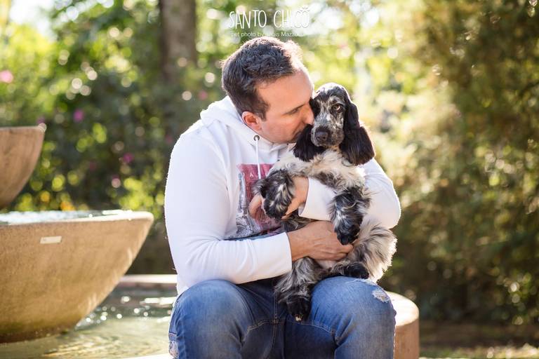 fotografia pet cachorro
ao ar livre santo chico