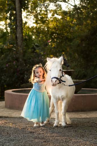 fotografia pet cachorro
ao ar livre santo chico