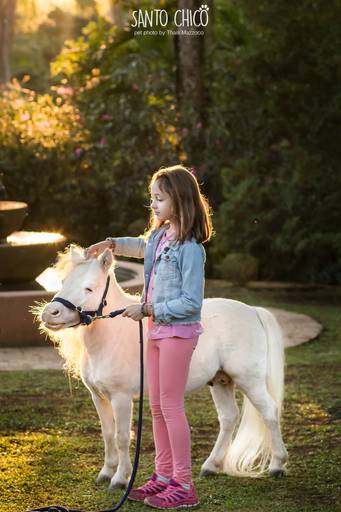 fotografia pet cachorro
ao ar livre santo chico