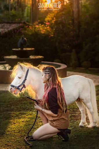 fotografia pet cachorro
ao ar livre santo chico