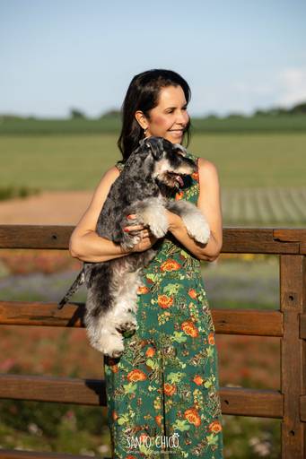 fotografia pet cachorro
ao ar livre santo chico