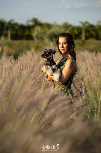 fotografia pet cachorro
ao ar livre santo chico