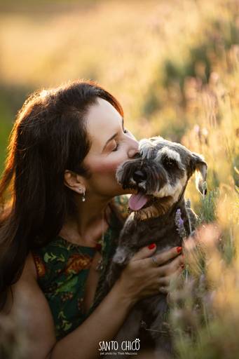 fotografia pet cachorro
ao ar livre santo chico