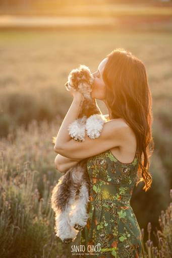 fotografia pet cachorro
ao ar livre santo chico