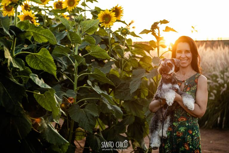 fotografia pet cachorro
ao ar livre santo chico
