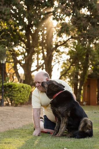 fotografia pet cachorro
ao ar livre santo chico pastor sol