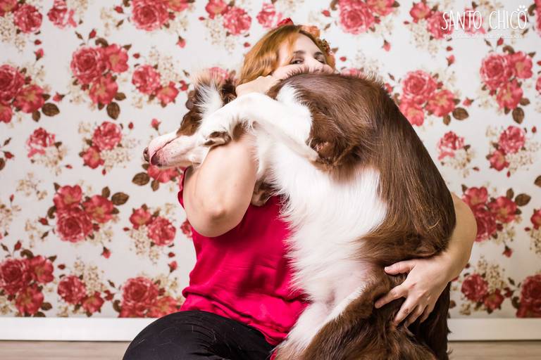 fotografia pet dia das mães cachorro estúdio pet border collie mãe de pet fotografo pet campinas cachorro gato canil gatil criador revista cães e cia estrelas animais adestrador ensaio fotografico pet book pet estúdio pet santo chico fotografia pet