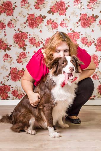 fotografia pet dia das mães cachorro estúdio pet border collie mãe de pet fotografo pet campinas cachorro gato canil gatil criador revista cães e cia estrelas animais adestrador ensaio fotografico pet book pet estúdio pet santo chico fotografia pet
