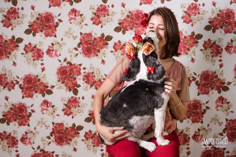 fotografia pet dia das mães cachorro estúdio pet cocker spaniel mãe fotografo pet campinas cachorro gato canil gatil criador revista cães e cia estrelas animais adestrador ensaio fotografico pet book pet estúdio pet santo chico fotografia pet