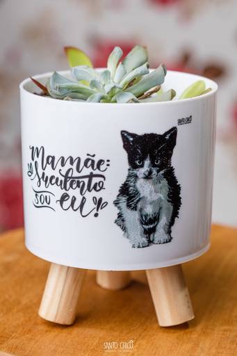 fotografia pet dia das mães cachorro estúdio pet gato filhote mãe fotografo pet campinas cachorro gato canil gatil criador revista cães e cia estrelas animais adestrador ensaio fotografico pet book pet estúdio pet santo chico fotografia pet