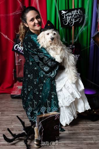 ensaio pet halloween santo chico fotografia abracadabra 2 hocus pocus 2022 dia das bruxas