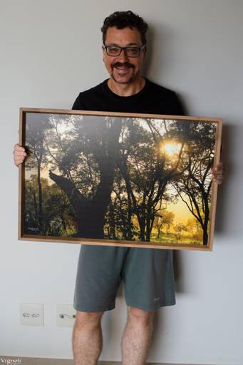 Quadro impresso na madeira