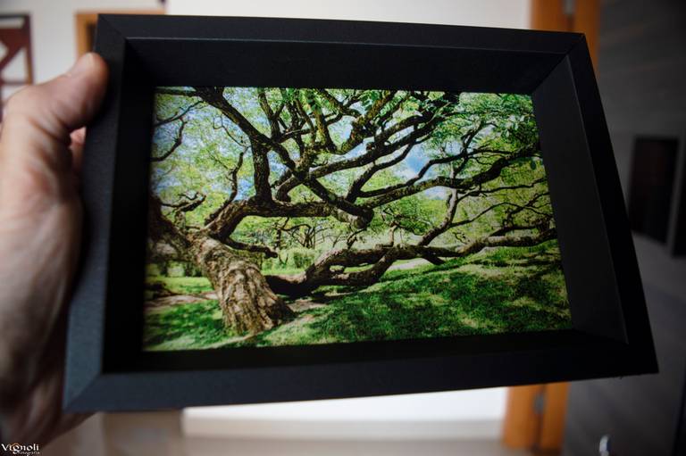 Quadro impresso no vidro